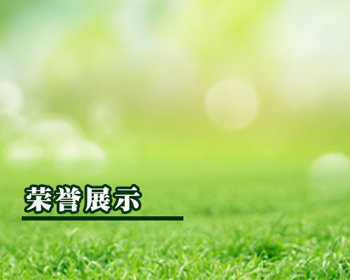 榮譽展示